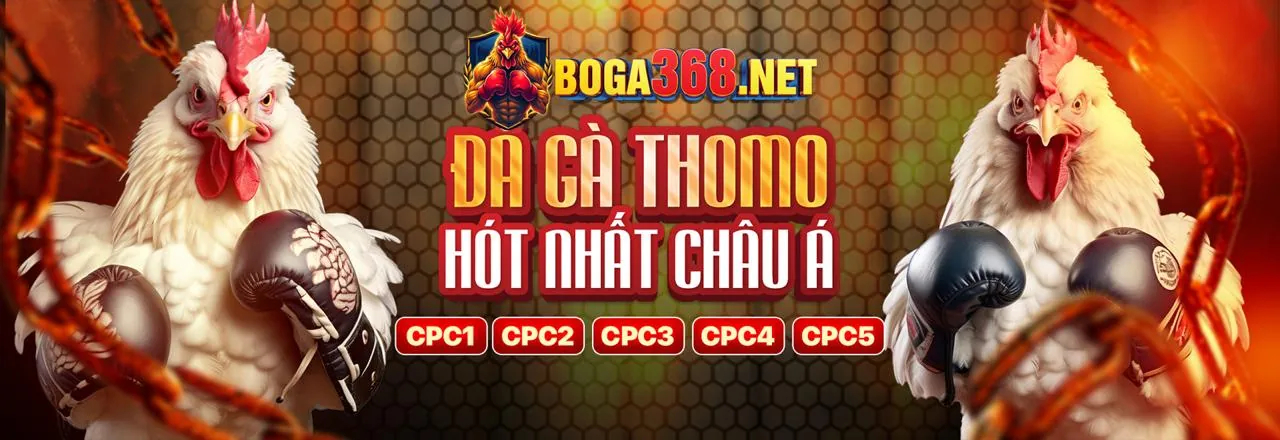 Tin Tức Khuyến Mãi F169
